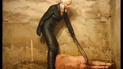Die prächtige blonde Torte deutsche soft sexfilme schlürft den harten Schwanz ihres Geliebten