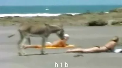 Meine Art von Streifzug youtube deutsche sexfilme